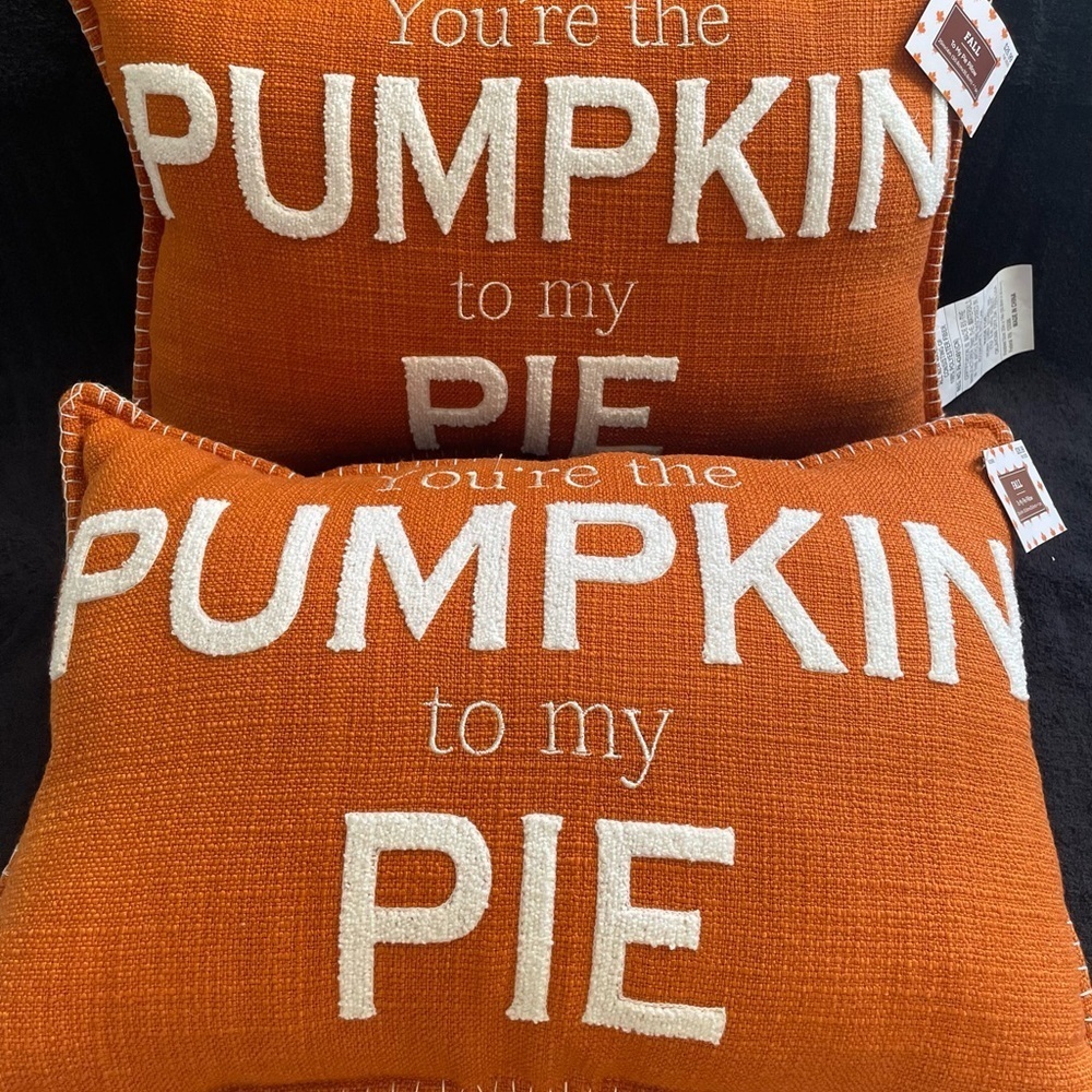 NWT Set of 2 Hobby Lobby Orange and White Accent Pillows